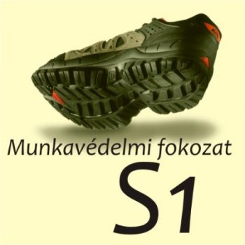 S1
